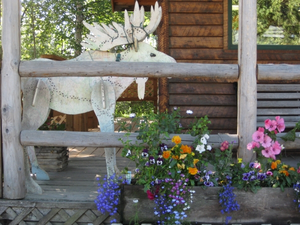 Zdjęcie ze Stanów Zjednoczonych - Talkeetna