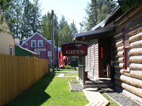 Zdjęcie ze Stanów Zjednoczonych - Talkeetna