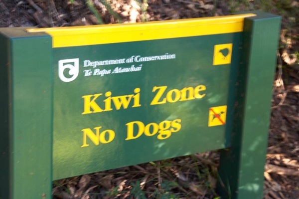 Zdjęcie z Nowej Zelandii - 