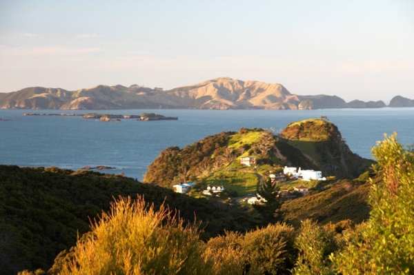 Zdjęcie z Nowej Zelandii - 