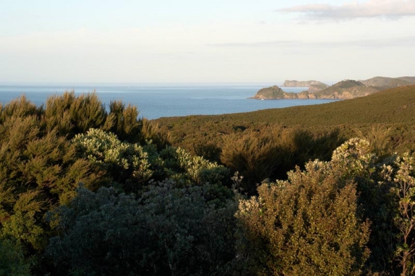 Zdjęcie z Nowej Zelandii - 