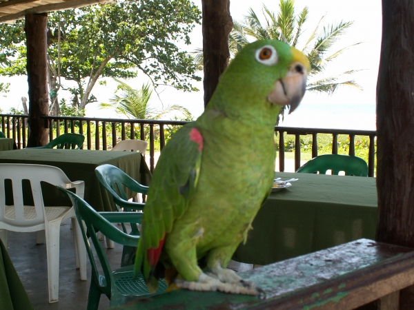 Zdjecie - Kolumbia - EL PARQUE TAYRONA