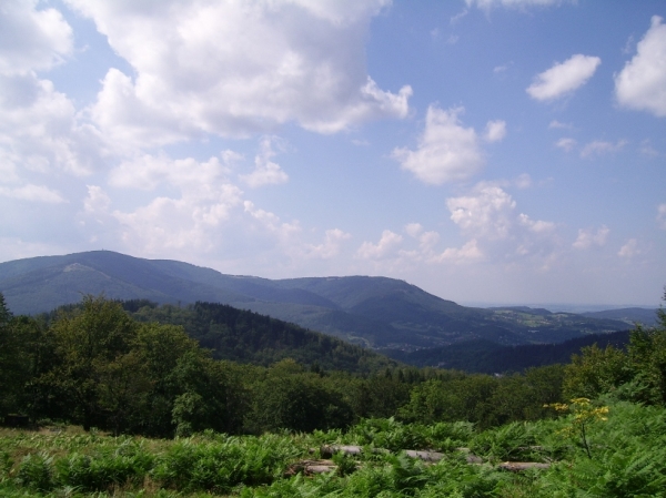Zdjęcie z Polski - gdzieś z Równicy