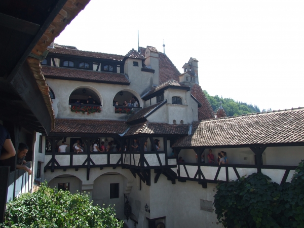 Zdjęcie z Rumunii - Bran