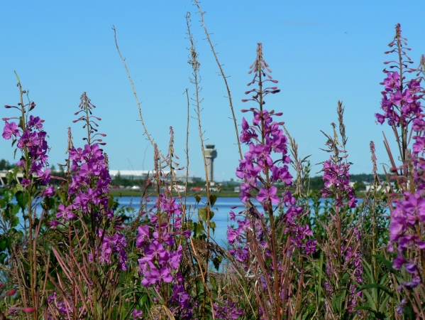 Zdjęcie ze Stanów Zjednoczonych - Anchorage