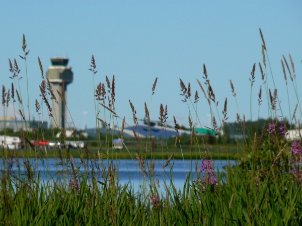 Zdjęcie ze Stanów Zjednoczonych - Anchorage