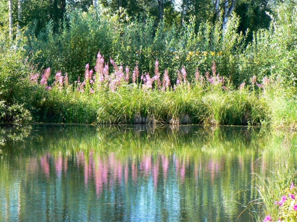 Zdjęcie ze Stanów Zjednoczonych - Anchorage
