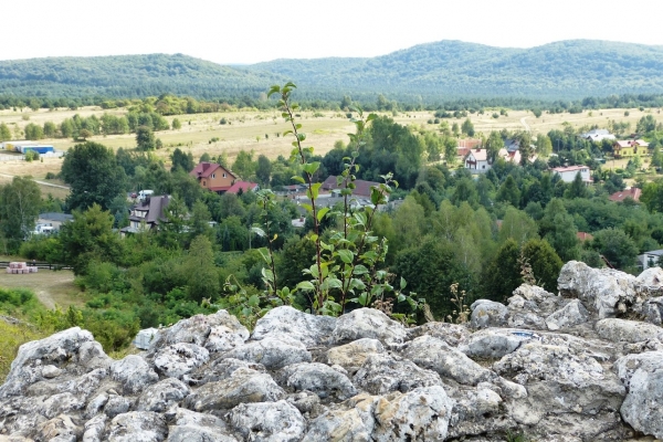 Zdjęcie z Polski - widok z zamku Olsztyn