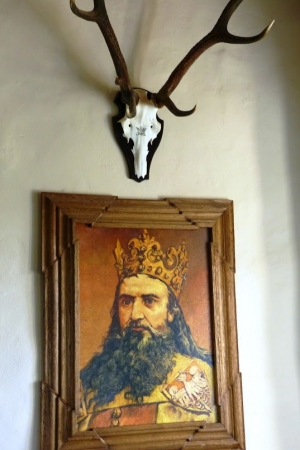 Zdjęcie z Polski - Kazimierz Wielki Rogacz :)