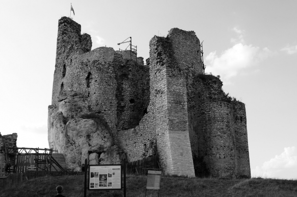 Zdjęcie z Polski - Mirów