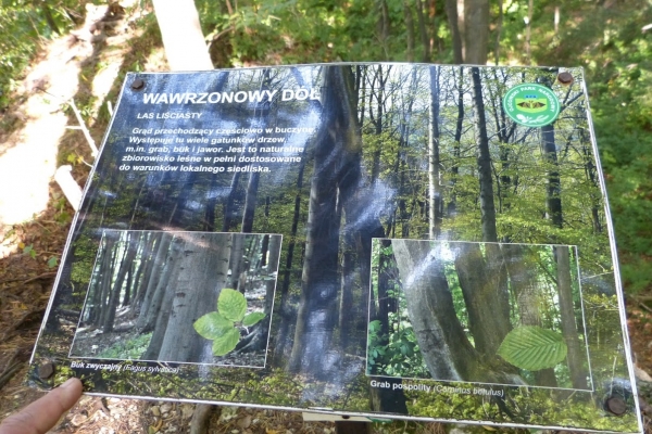 Zdjęcie z Polski - ciekawych miejsc znajdziecie tu bez liku...
