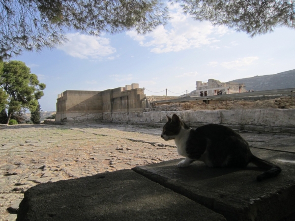 Zdjęcie z Grecji - Knossos