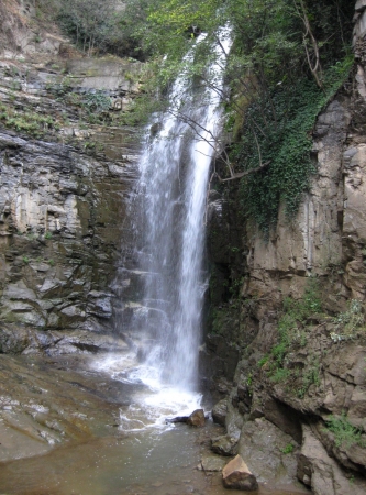 Zdjęcie z Gruzji - Tbilisi