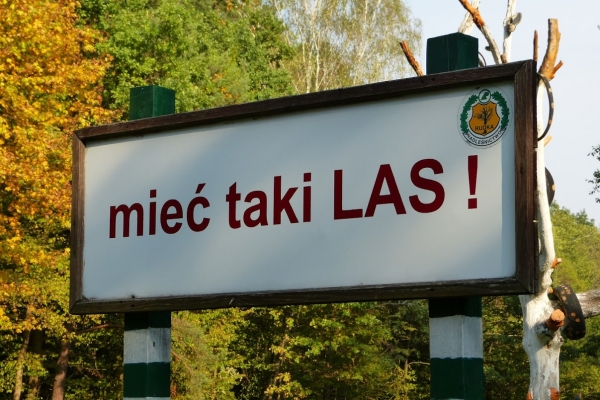 Zdjęcie z Polski - hasła "odstraszające" stojące przy tych martwych drzewach...