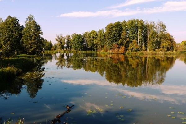 Zdjęcie z Polski - pałacowy staw