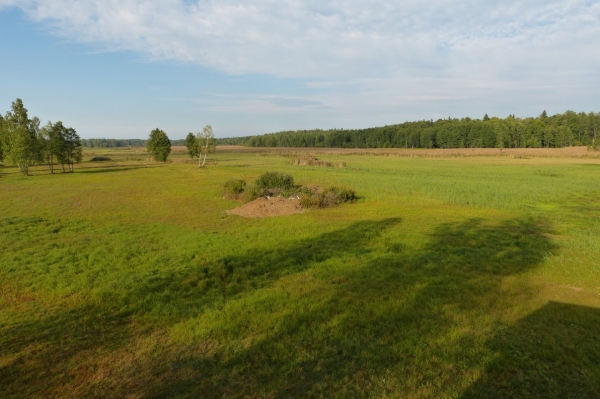 Zdjęcie z Polski - łowny rewir orlika