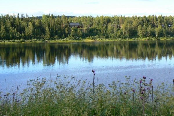 Zdjęcie ze Szwecji - Otoczenie campingu