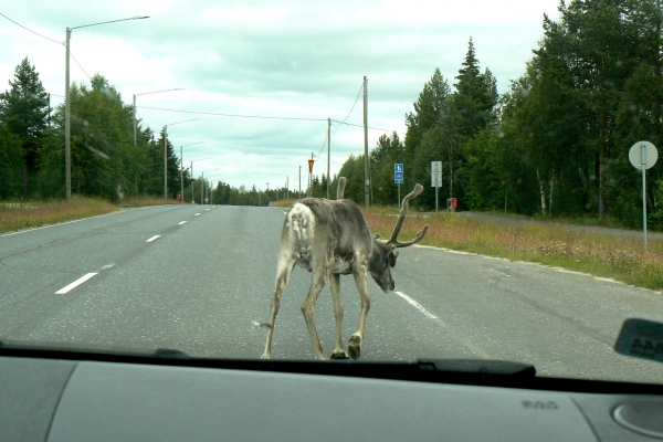 Zdjęcie z Finlandii - 