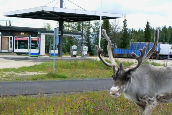 Zdjęcie z Finlandii - 
