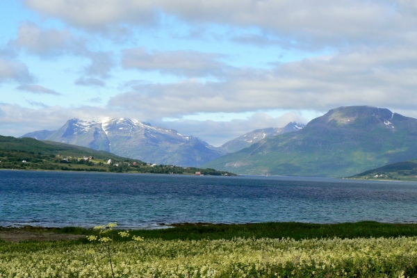 Zdjęcie z Norwegii - Jedziemy dalej...