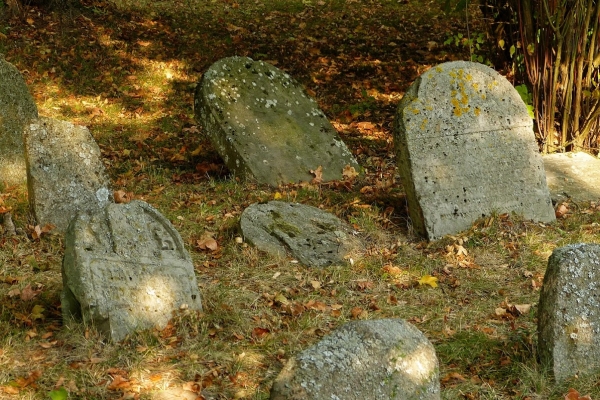 Zdjęcie z Polski - macewy w pałacowym ogrodzie zgromadzone z okolic