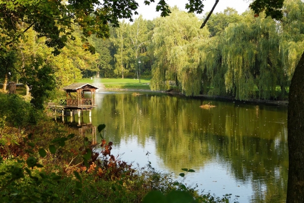 Zdjecie - Polska - Na pograniczu Podlasia i Mazowsza - Ciechanowiec