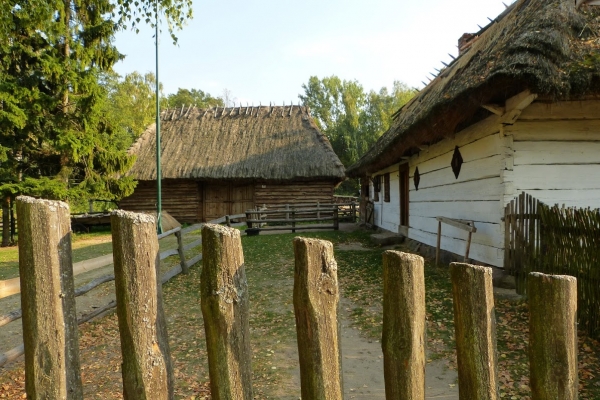 Zdjęcie z Polski - gdzieś w zagrodzie....