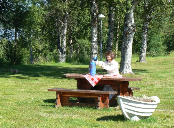 Zdjęcie ze Szwecji - Jedziemy dalej...