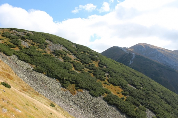 Zdjęcie z Polski - Ach te nasze Tatry ...