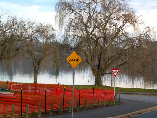 Zdjęcie z Australii - Canberra