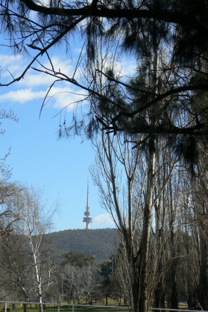 Zdjęcie z Australii - Canberra