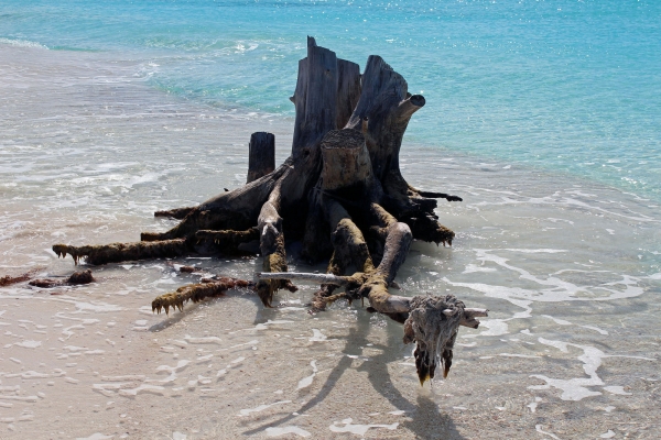 Zdjęcie z Kuby - Plaża "Playa Sirena"