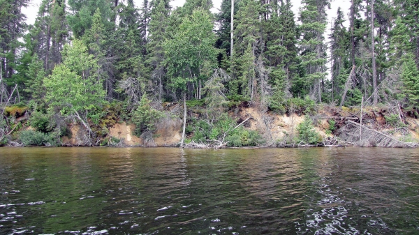 Zdjęcie z Kanady - Na jeziorze Lady Evelyn Lake, Ontario