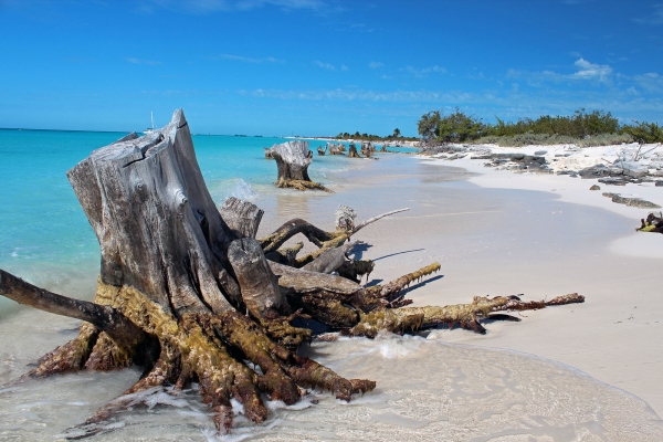 Zdjęcie z Kuby - Plaże w Cayo Largo, Kuba