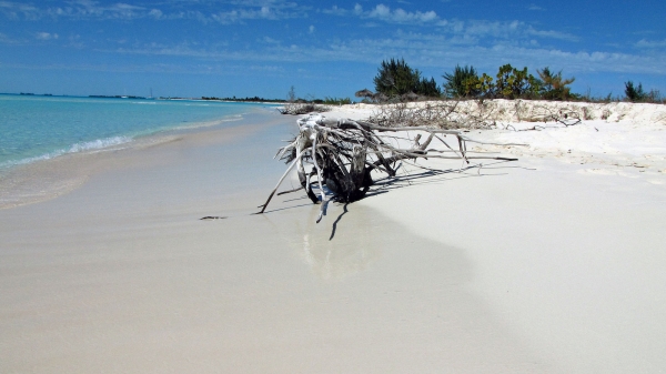 Zdjęcie z Kuby - Plaże w Cayo Largo, Kuba