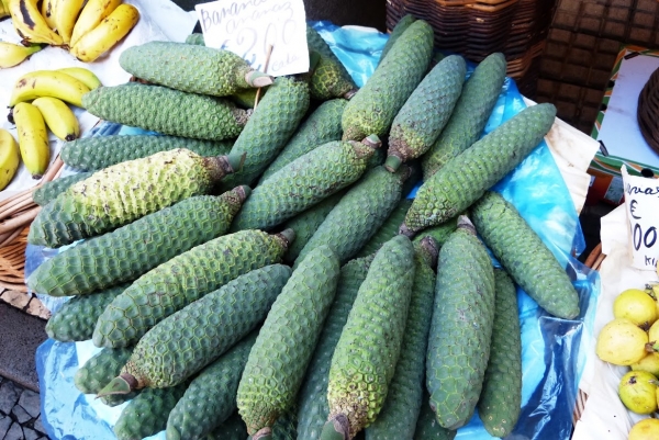 Zdjęcie z Portugalii - banano-ananas; czyli dziwy owoc monstery olbrzymiej
