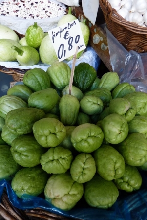 Zdjęcie z Portugalii - chayote- karczoch jadalny
