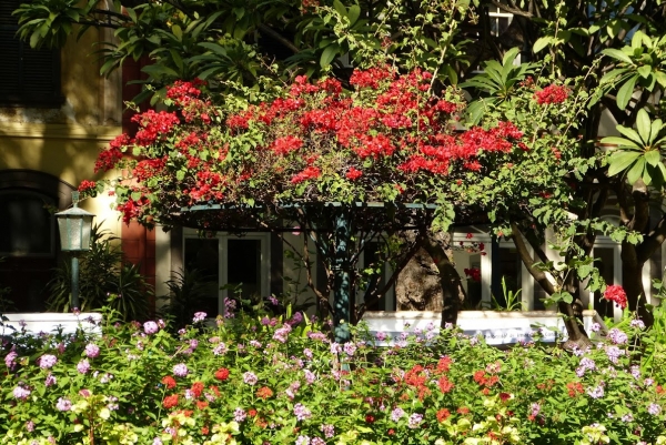 Zdjęcie z Portugalii - w Jardim de Sao Francisco