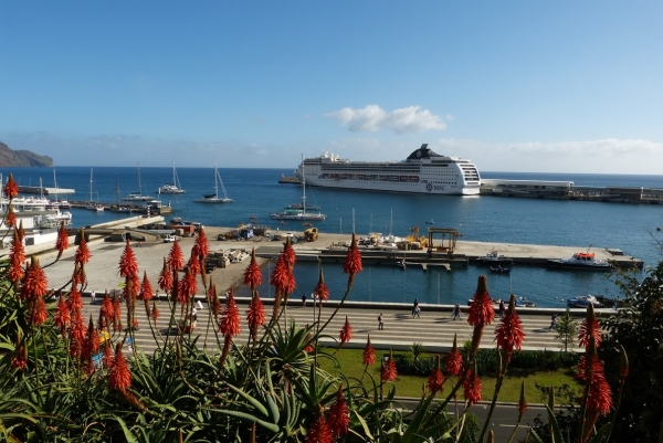 Zdjęcie z Portugalii - widok na port w Funchal z Ogrodu Św. Katarzyny