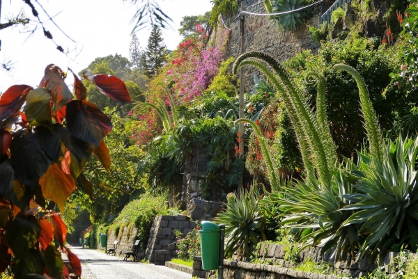 Zdjęcie z Portugalii - przepiękny Jardim de Santa Catharina