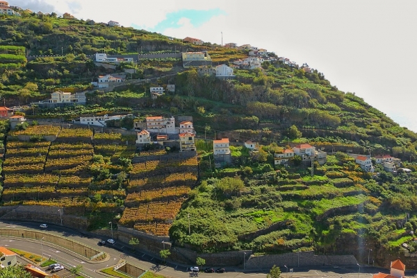 Zdjęcie z Portugalii - zbocza gór w Calheta