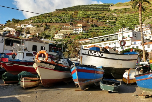 Zdjęcie z Portugalii - Camara de Lobos i malownicze rybackie łodzie i małe kutry