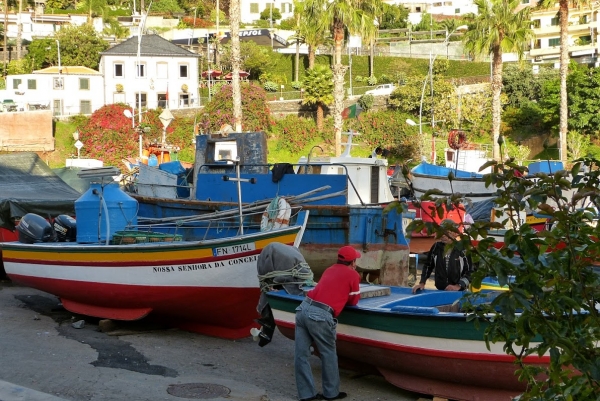 Zdjęcie z Portugalii - Camara de Lobos