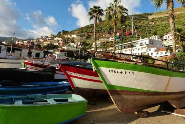 Zdjęcie z Portugalii - Camara de Lobos