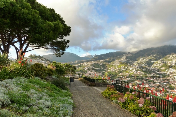 Zdjęcie z Portugalii - Pico dos Barcelos