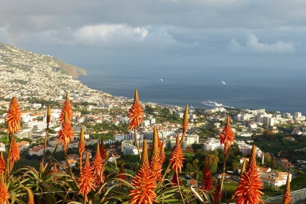 Zdjęcie z Portugalii - całe Funchal w dole....