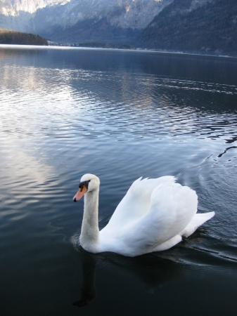 Zdjęcie z Austrii - Hallstatt
