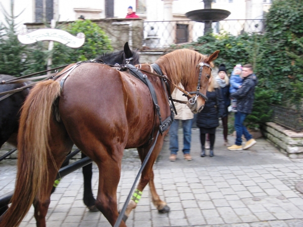 Zdjęcie z Austrii - St. Wolfgang