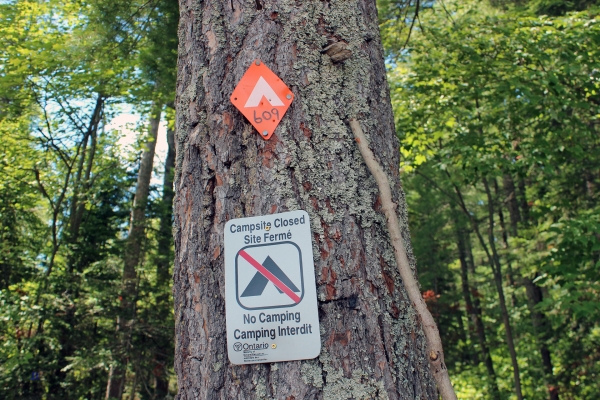 Zdjęcie z Kanady - French River, Ontario. Miejsce zamknięte z powodu wizyt niedźwiadków