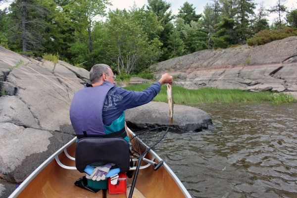 Zdjęcie z Kanady - French River, Ontario. 